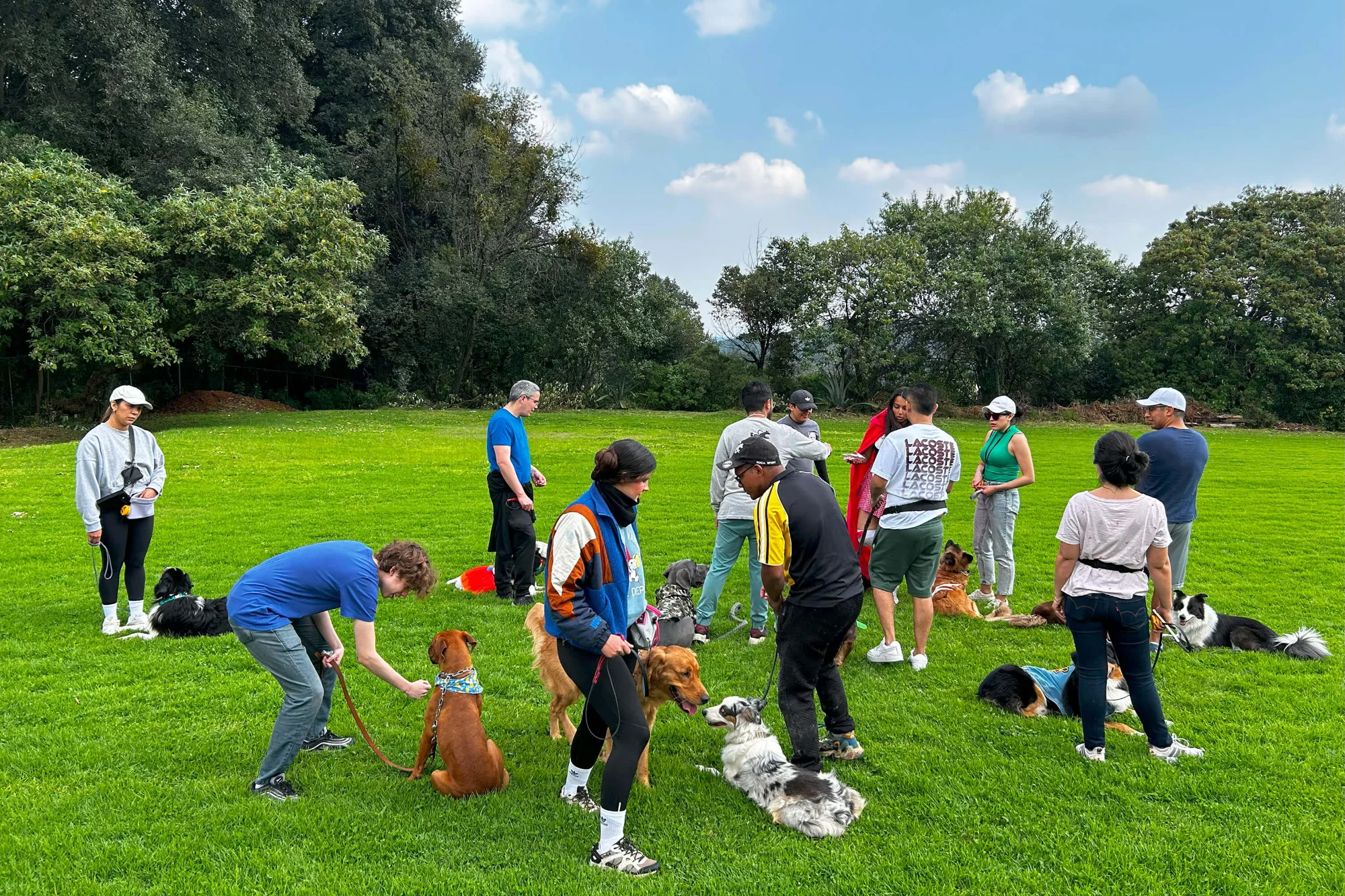 Personas y perros se reúnen en un campo de hierba bajo un cielo azul con nubes dispersas. Algunos están de pie, mientras que otros se agachan o se sientan con sus perros. Se ven árboles al fondo, y el grupo parece estar socializando o entrenando.